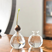 Transparent Glass Vase