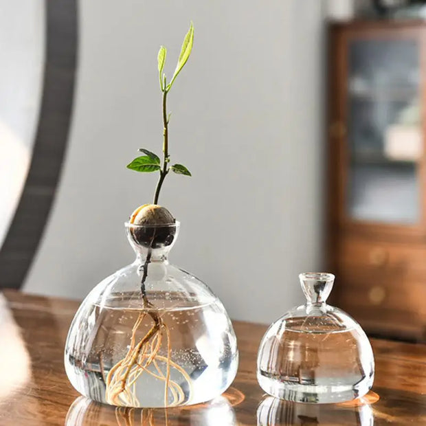 Transparent Glass Vase