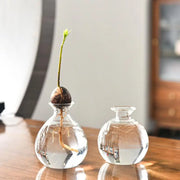 Transparent Glass Vase